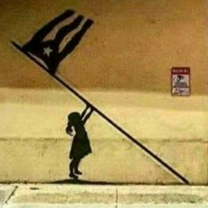 Meet your Posher, Karla